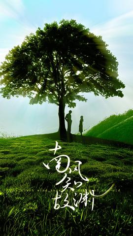 南風(fēng)知故淵