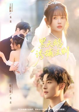 黑天鵝誘捕法冊